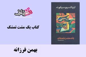کتاب یک مشت تمشک اثر بهمن فرزانه