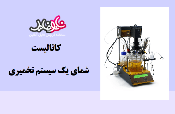 کتاب کاتالیست شمای یک سیستم تخمیری