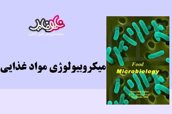 کتاب میکروبیولوژی مواد غذایی نسخه انگلیسی